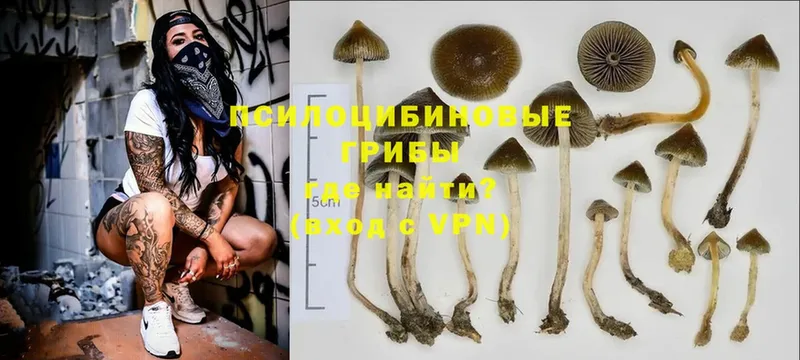 Псилоцибиновые грибы MAGIC MUSHROOMS Лысково